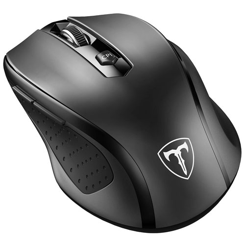 mouse